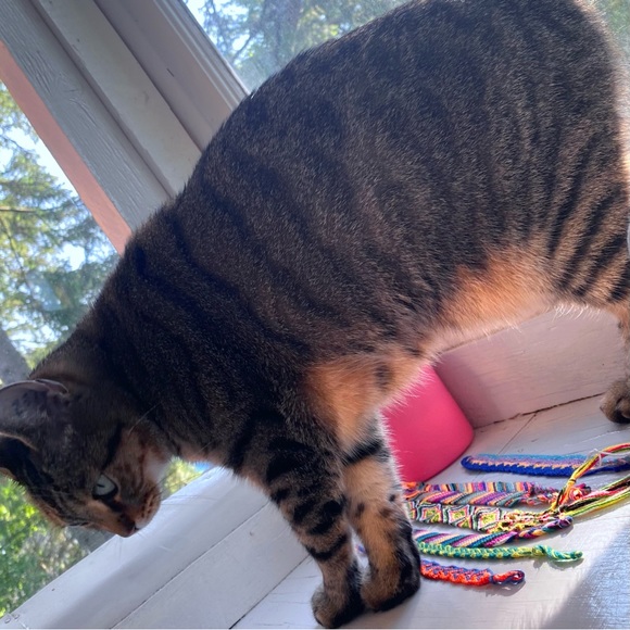 CUSTOMIZABLE STRING FRIENDSHIP BRACELETS! - Picture 2 of 6